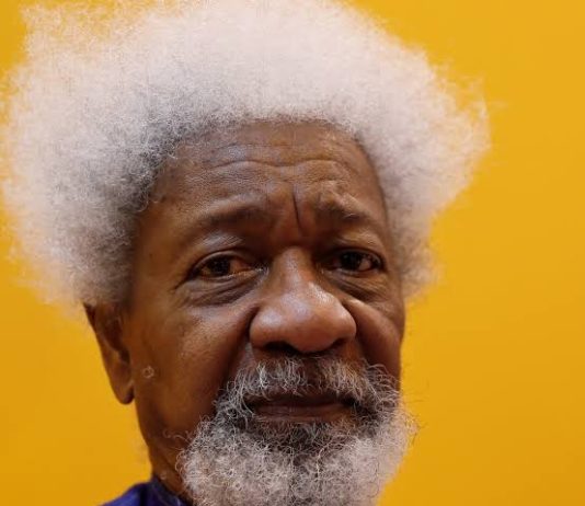 Exploring Creation, Death, and Rebirth in Wole Soyinka’s “Abiku” Wole Soyinka