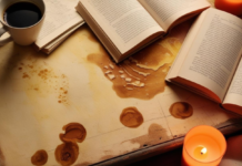 Prose Fiction: Meaning, Evolution, and Characteristics Book illustration of prose fiction.