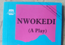 A Brief Analysis of Nwokedi by Esiaba Irobi Nwokedi by Esiaba Irobi