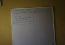 New Video Alert: “New Tongue” by Elizabeth Kamara