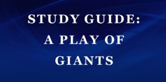 Plot Summary and Setting of A Play of Giants by Wole Soyinka A Play of Giants