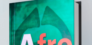 A Review of Eyoh Etim’s Afro Rococo (Light Verses) Afro Rococo by Eyo Etim