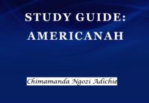 Chapter 6 Summary and Analysis of Americanah by Chimamanda Ngozi Adichie Americanah by Chimamanda Ngozi Adichie