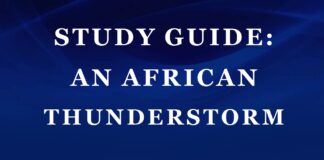 Study Guide: An African Thunderstorm by David Rubadiri An African Thunderstorm cover