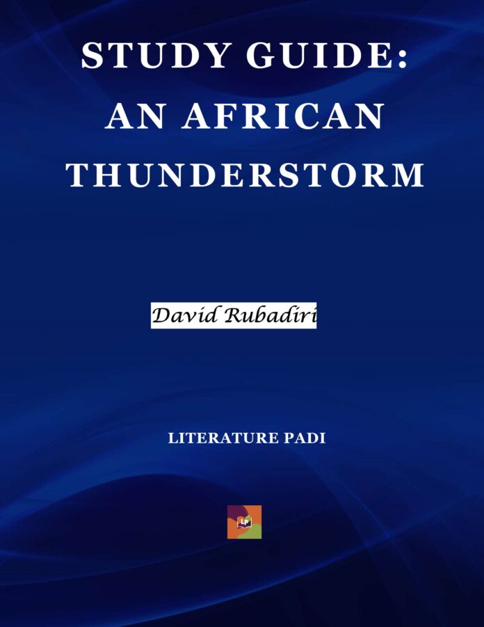 An African Thunderstorm cover