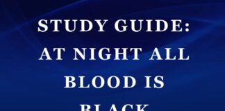 Plot Summary and Setting of At Night All Blood Is Black by David Diop At Night All Blood Is Black