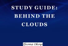 Plot Summary and Setting of Behind the Clouds by Ifeoma Okoye Behind the Clouds