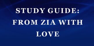 Plot Summary of From Zia With Love by Wole Soyinka From Zia With Love