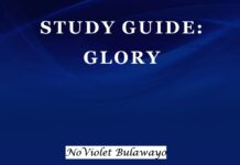 Plot Summary and Setting of Glory by NoViolet Bulawayo Glory by NoViolet Bulawayo