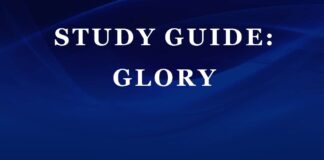 Plot Summary and Setting of Glory by NoViolet Bulawayo Glory by NoViolet Bulawayo