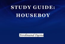 Plot Summary and Setting of Houseboy by Ferdinand Oyono Houseboy
