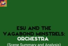 Esu and the Vagabond Minstrels: Summary and Analysis of Orchestra Orchestra | Esu and the Vagabond Minstrels