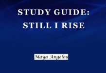 Still I Rise Summary & Themes by Maya Angelou Still I Rise Cover