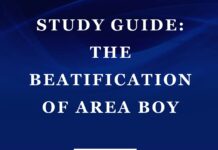 Plot Summary and Setting of The Beatification of Area Boy by Wole Soyinka The Beatification of Area Boy