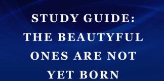Study Guide: The Beautyful Ones Are Not Yet Born by Ayi Kwei Armah The Beautyful Ones Are Not Yet Born cover