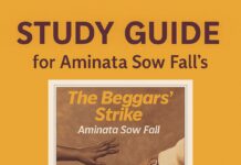 Chapter 13 to 14 Summary and Analysis of The Beggars’ Strike by Aminata Sow Fall The Beggars' Strike
