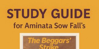 Chapter 4 to 7 Summary and Analysis of The Beggars’ Strike by Aminata Sow Fall The Beggars' Strike