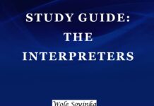 Plot Summary and Setting of The Interpreters by Wole Soyinka The Interpreters by Wole Soyinka
