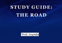 Plot Summary and Setting of The Road by Wole Soyinka The Road by Wole Soyinka