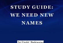 Plot Summary and Setting of We Need New Names by NoViolet Bulawayo We Need New Names