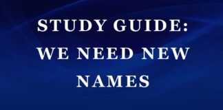 Plot Summary and Setting of We Need New Names by NoViolet Bulawayo We Need New Names